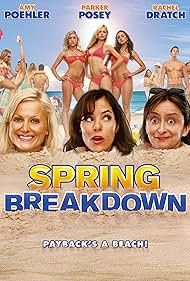 Spring Breakdown watch-Spring Breakdown