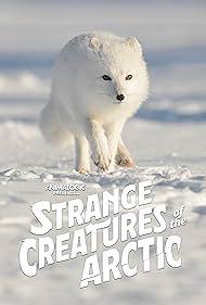 Strange Creatures of the Arctic watch-Strange Creatures of the Arctic