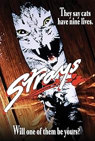 Strays watch-Strays