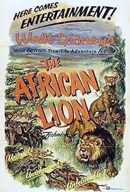The African Lion watch-The African Lion