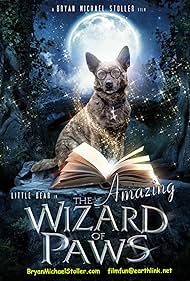 The Amazing Wizard of Paws watch-The Amazing Wizard of Paws