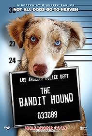 watch-The Bandit Hound