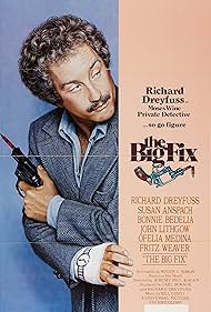 watch-The Big Fix