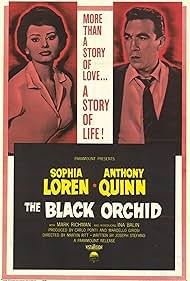 The Black Orchid watch-The Black Orchid
