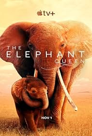 watch-The Elephant Queen