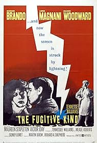 The Fugitive Kind watch-The Fugitive Kind