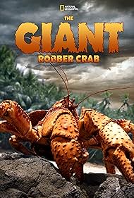 The Giant Robber Crab watch-The Giant Robber Crab