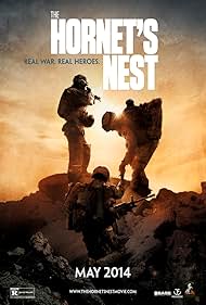 The Hornet s Nest watch-The Hornet s Nest