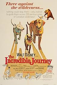The Incredible Journey watch-The Incredible Journey