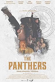 The Panthers watch-The Panthers