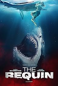 The Requin watch-The Requin
