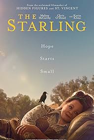 The Starling watch-The Starling