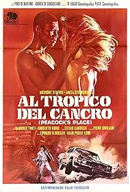 Tropic of Cancer watch-Tropic of Cancer