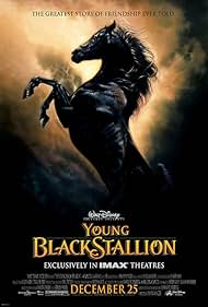 Young Black Stallion watch-Young Black Stallion