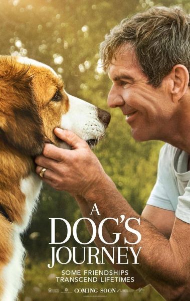 watch-A Dog s Journey