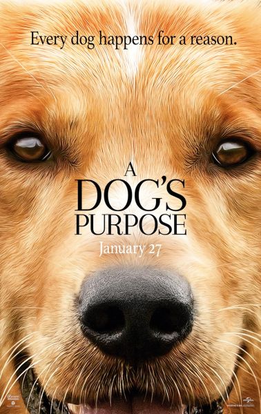 watch-A Dog s Purpose