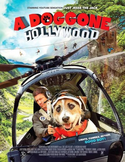 watch-A Doggone Hollywood