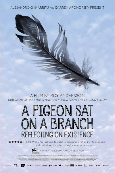 watch-A Pigeon Sat on a Branch Reflecting on Existence