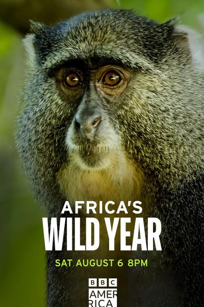 watch-Africa s Wild Year