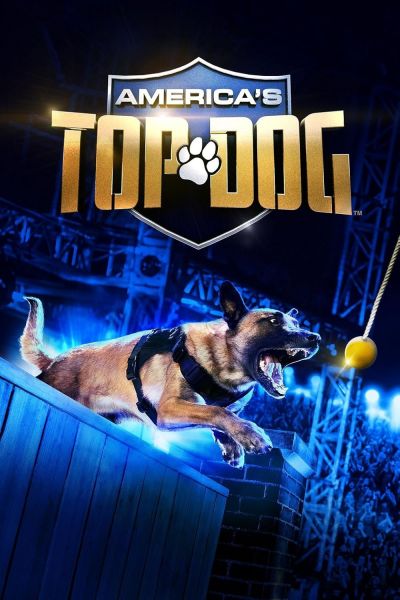 watch-America s Top Dog