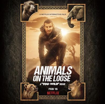 watch-Animals on the Loose  A You vs  Wild Interactive Movie