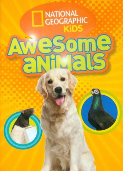 watch-Awesome Animals