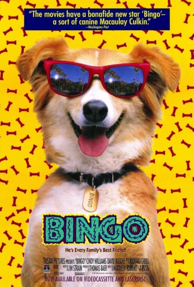 watch-Bingo