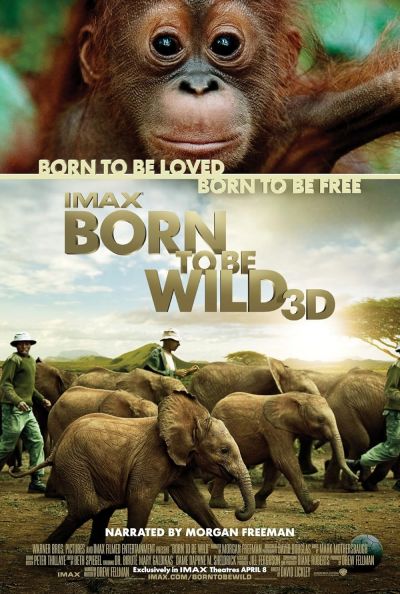 watch-Born to Be Wild