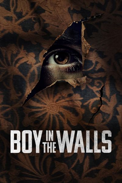 watch-Boy in the Walls
