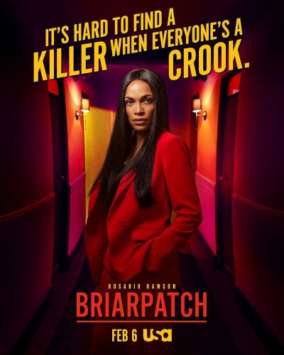 watch-Briarpatch