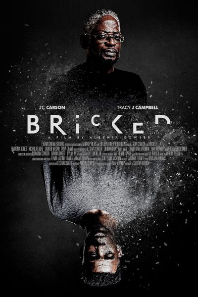 watch-Bricked
