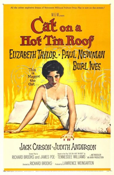 watch-Cat on a Hot Tin Roof