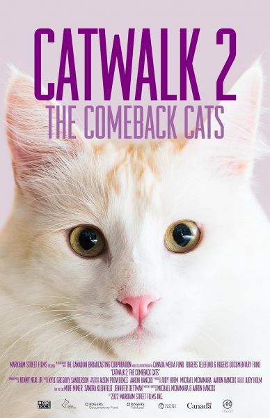 watch-Catwalk 2  The Comeback Cats