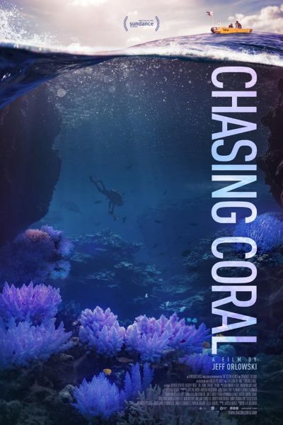 watch-Chasing Coral