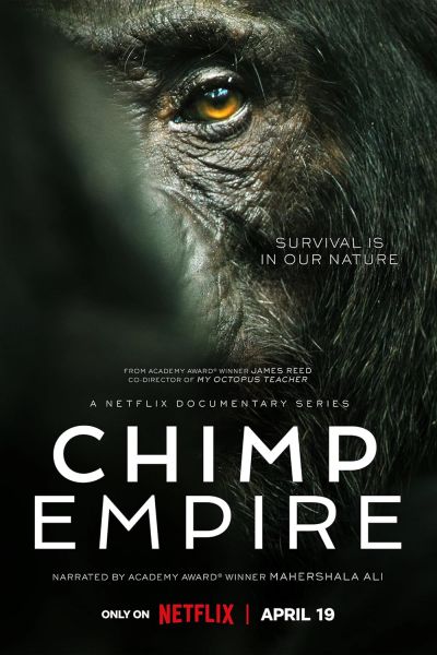 watch-Chimp Empire