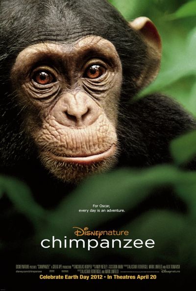 watch-Chimpanzee