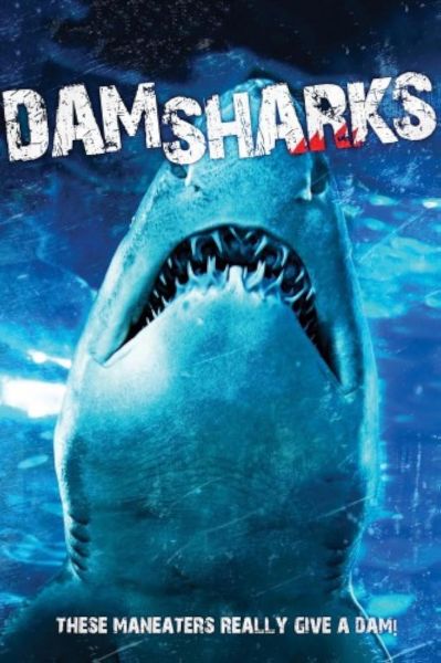 watch-Dam Sharks
