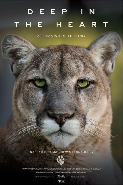 watch-Deep in the Heart  A Texas Wildlife Story
