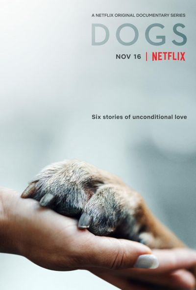 watch-Dogs