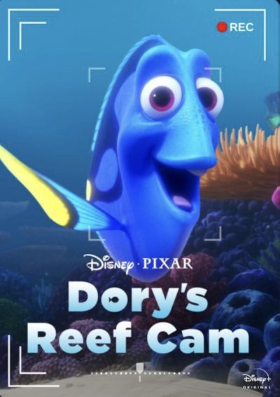 watch-Dory s Reef Cam