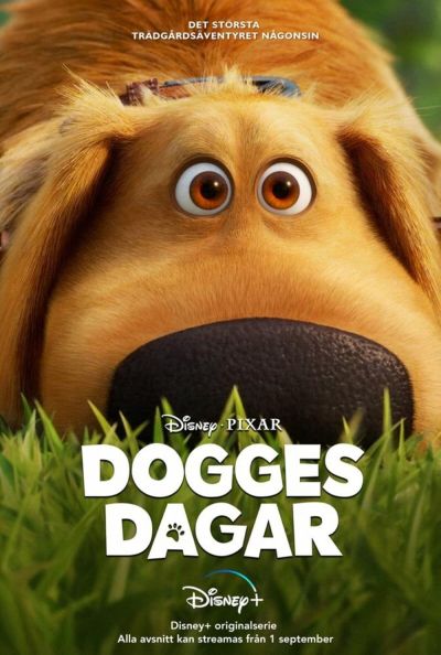 watch-Dug Days
