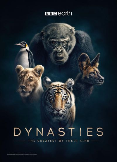 watch-Dynasties
