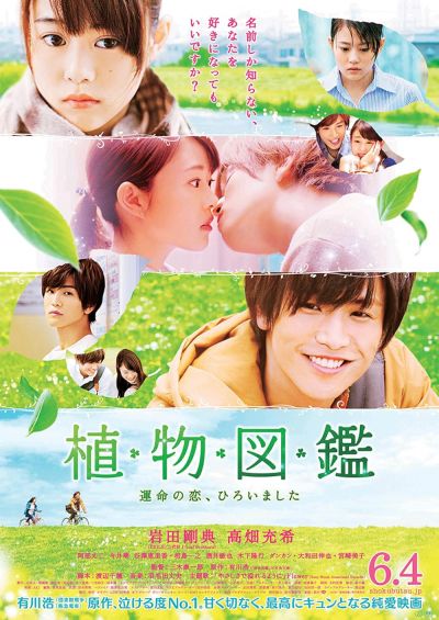watch-Evergreen Love