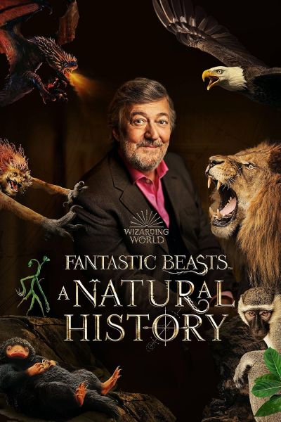 watch-Fantastic Beasts  A Natural History