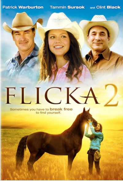 watch-Flicka (2)