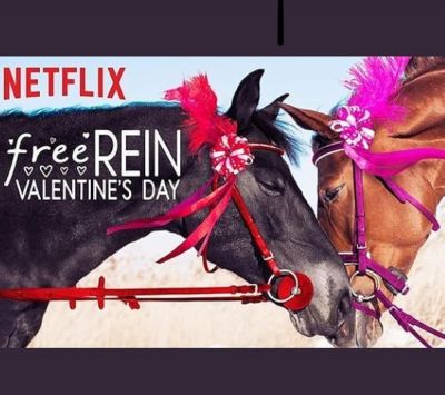 watch-Free Rein  Valentine s Day