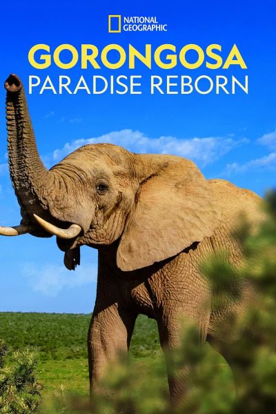 watch-Gorongosa  Paradise Reborn