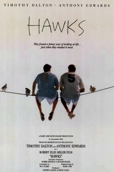 watch-Hawks