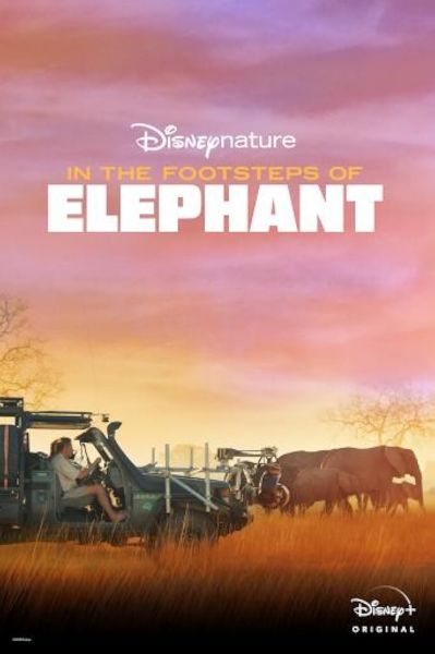 watch-In the Footsteps of Elephant