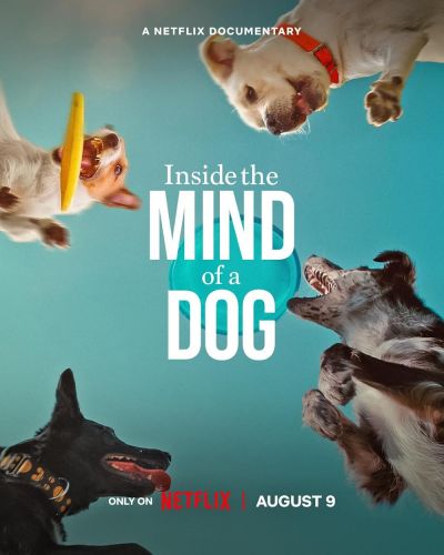 watch-Inside the Mind of a Dog